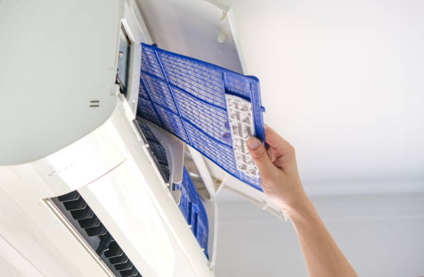 Best Affordable Duct Cleaning Services  in Dublin, CA